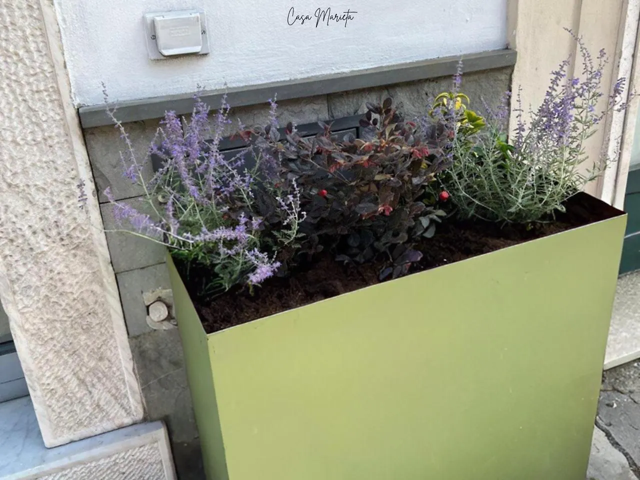 Affittacamere Marieta Rooms Sarzana Italia